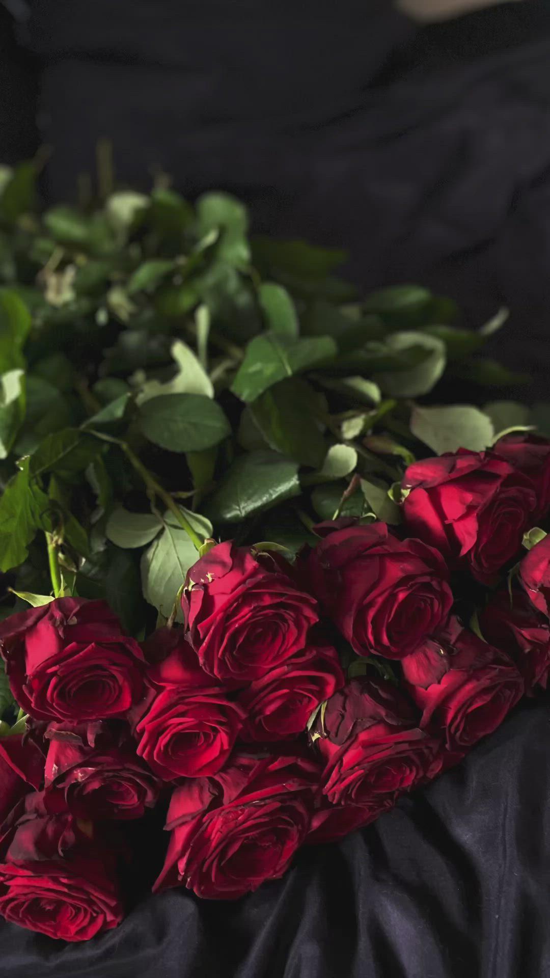 Harbor of Harmony Petal Collection