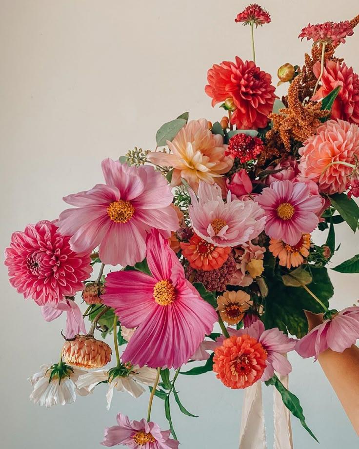Whimsical Wonders Botanical Ballet